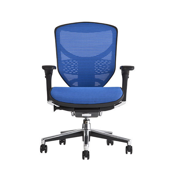 エルゴヒューマン エンジョイ / ヘッドレスト無し【メーカー組み立て