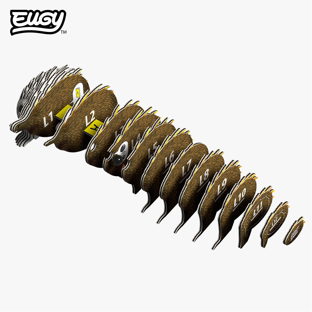 058 Echidna – EUGY