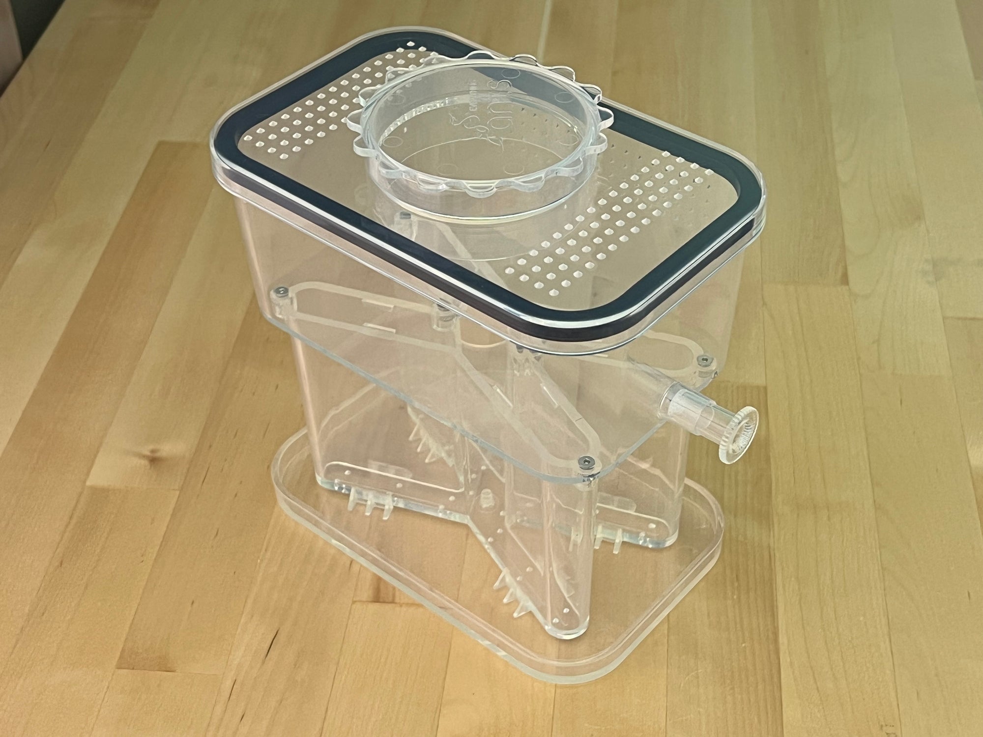 X Ant Farm - All-In-One Nest and Outworld - Everything Ants