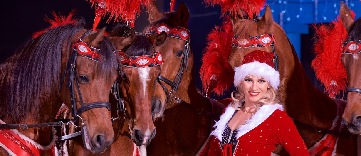 Visit The Dancing Horses Theatre this Season | Experience Wisconsin