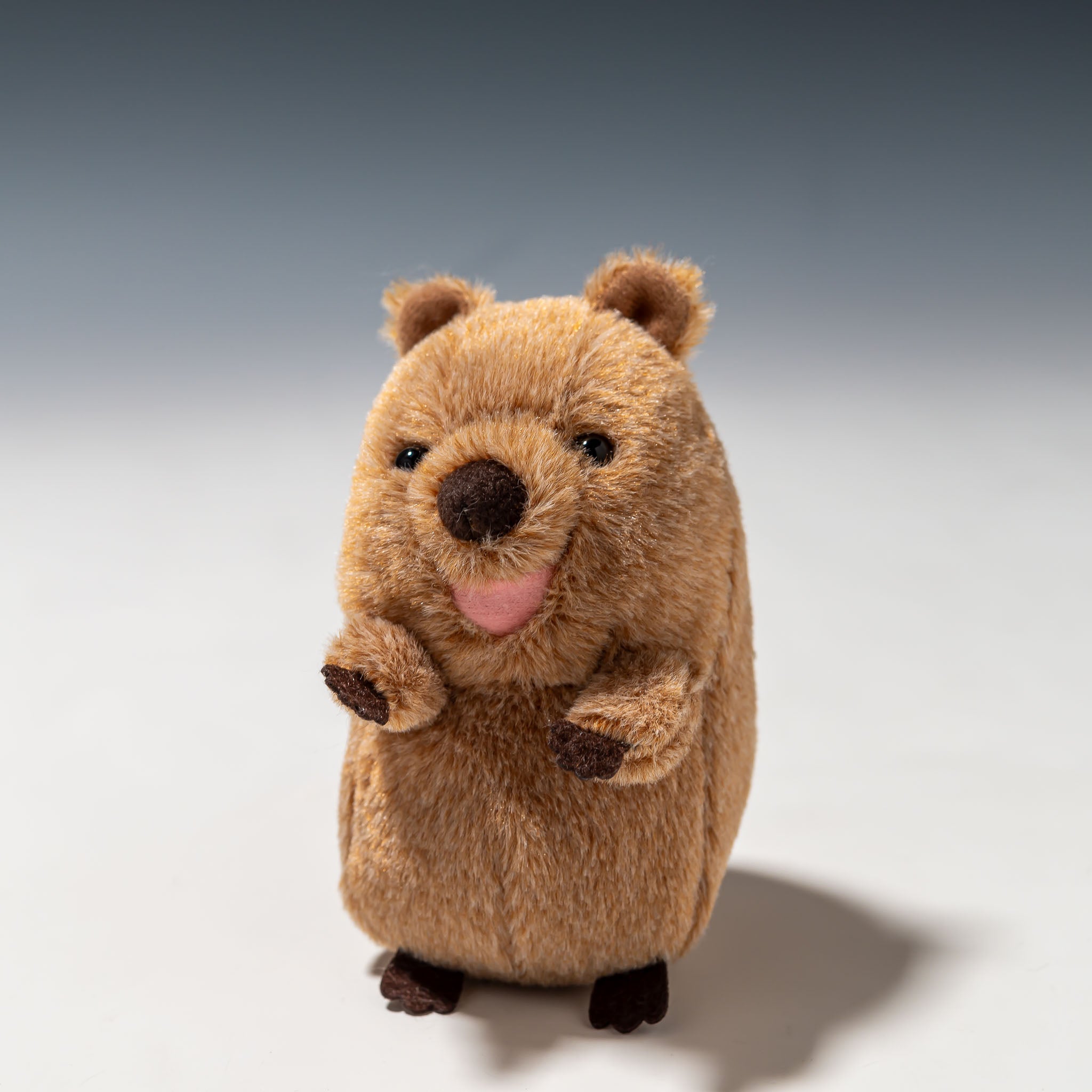 内藤デザイン研究所 ぬいぐるみ 大陸散歩 ぽちゃまる Sサイズ クオッカ