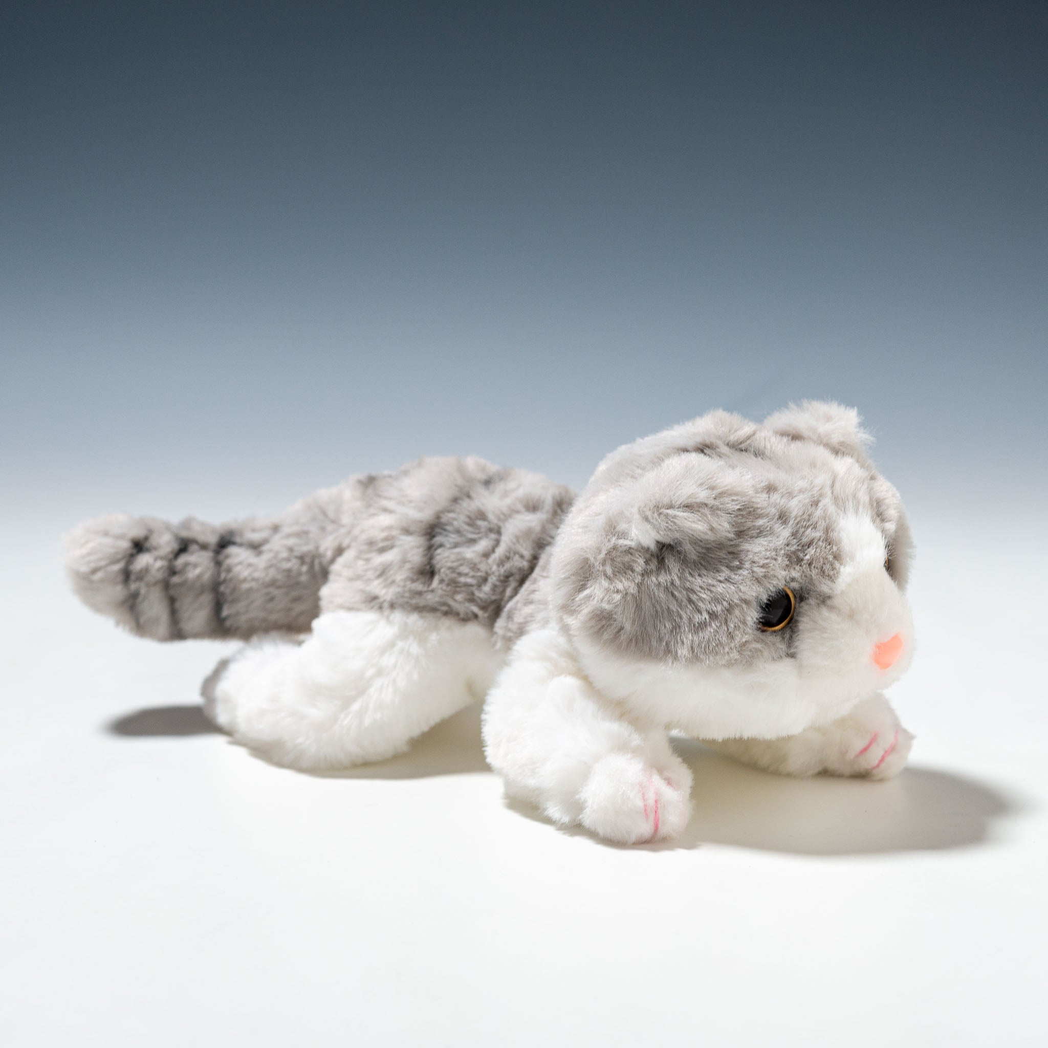 CUTE キュート販売 ぬいぐるみ くたくたニャンコ スコティッシュ