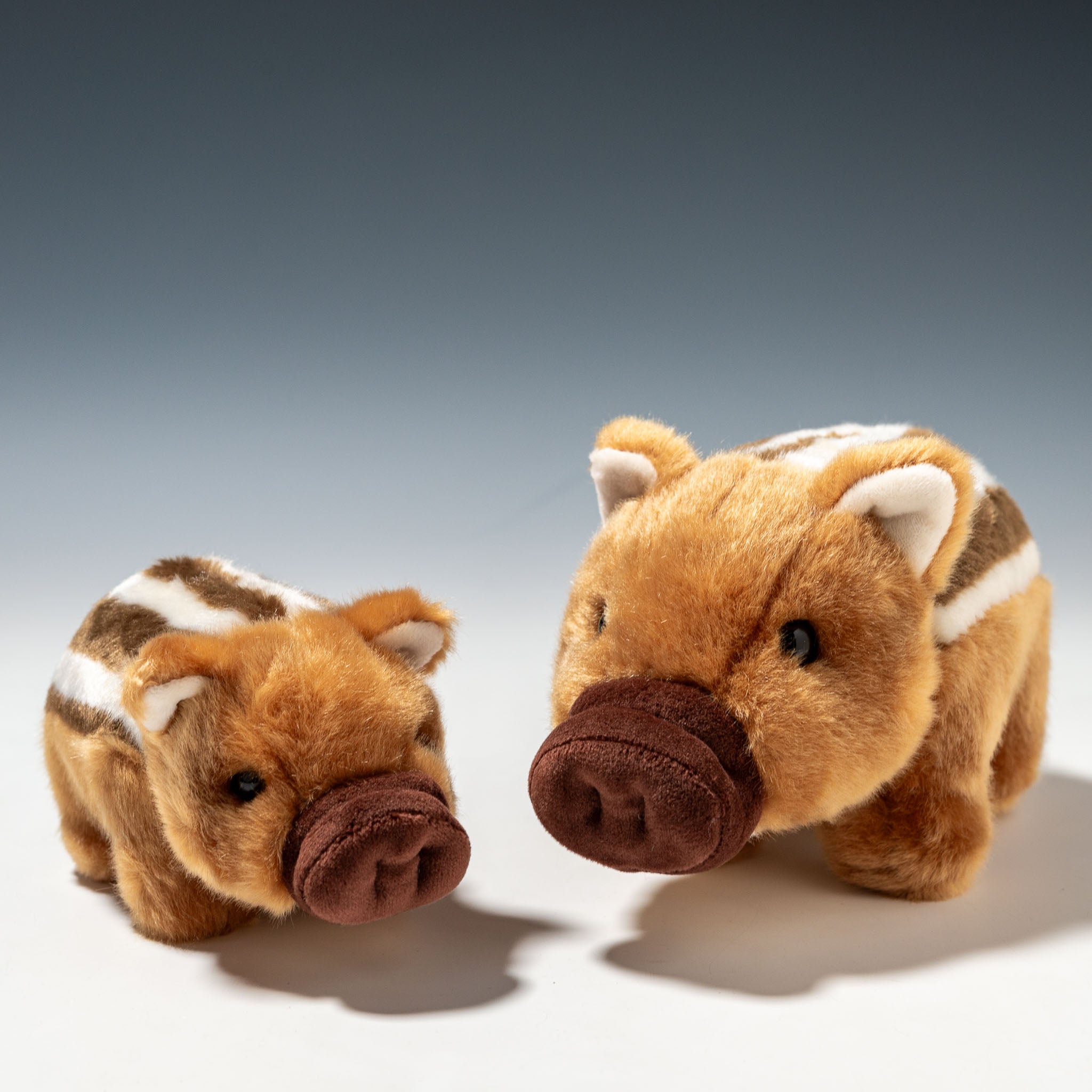 CUTE キュート販売 ぬいぐるみ どうぶつえんコレクション うり坊 SS