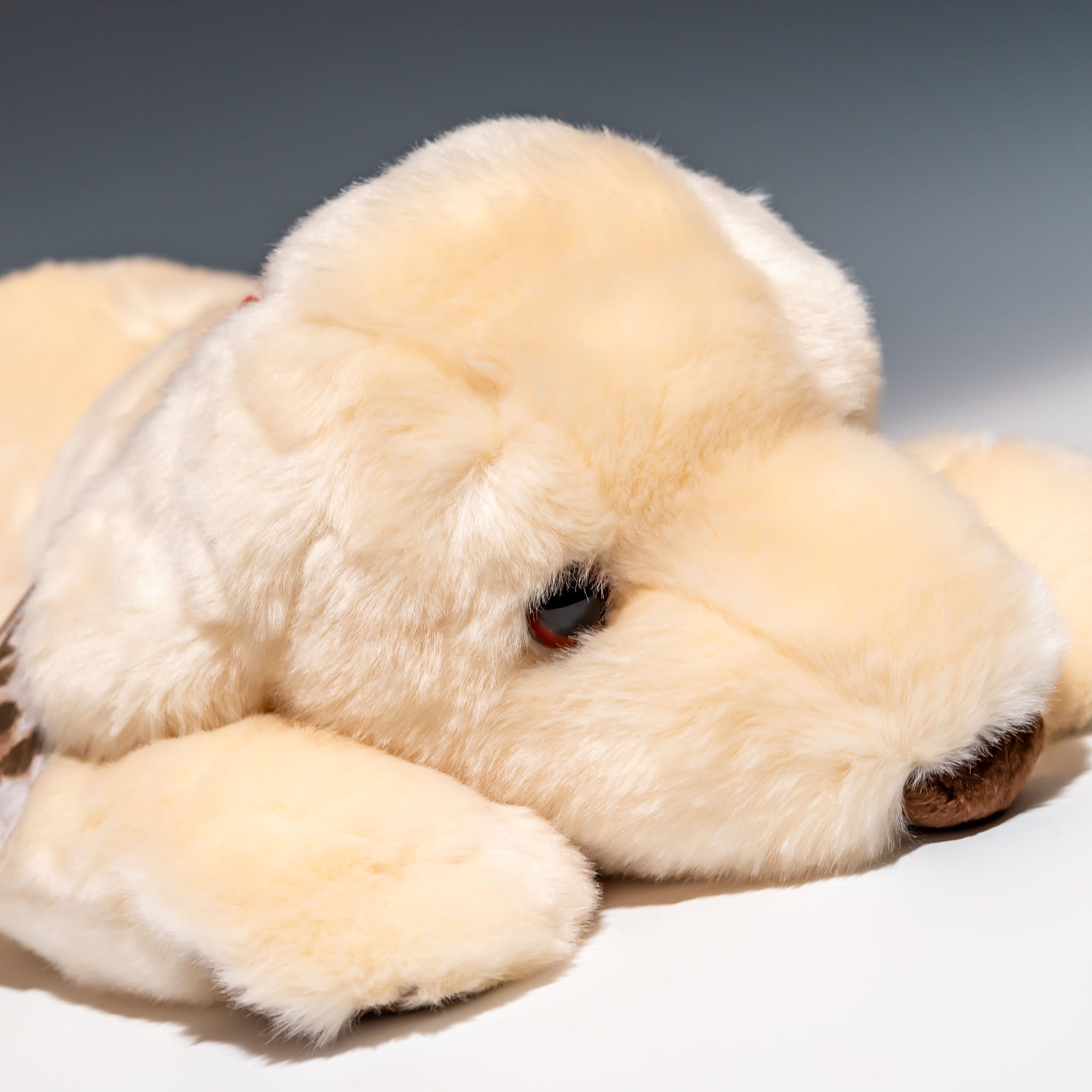 吉徳 ぬいぐるみ ラブラドールレトリバー ホワイト M 180412