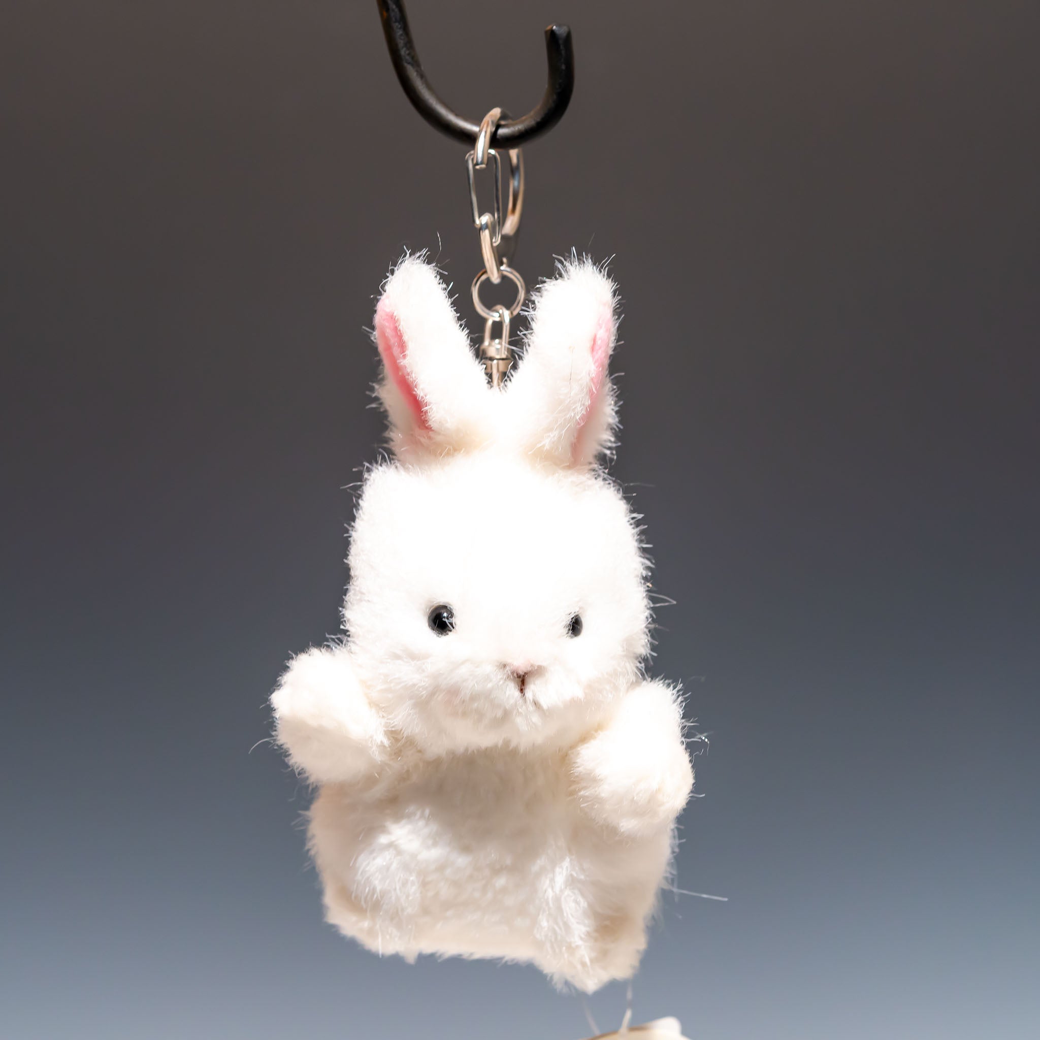 たけのこ TAKENOKO ぬいぐるみ プチ森のなかま ウサギ 白 68445