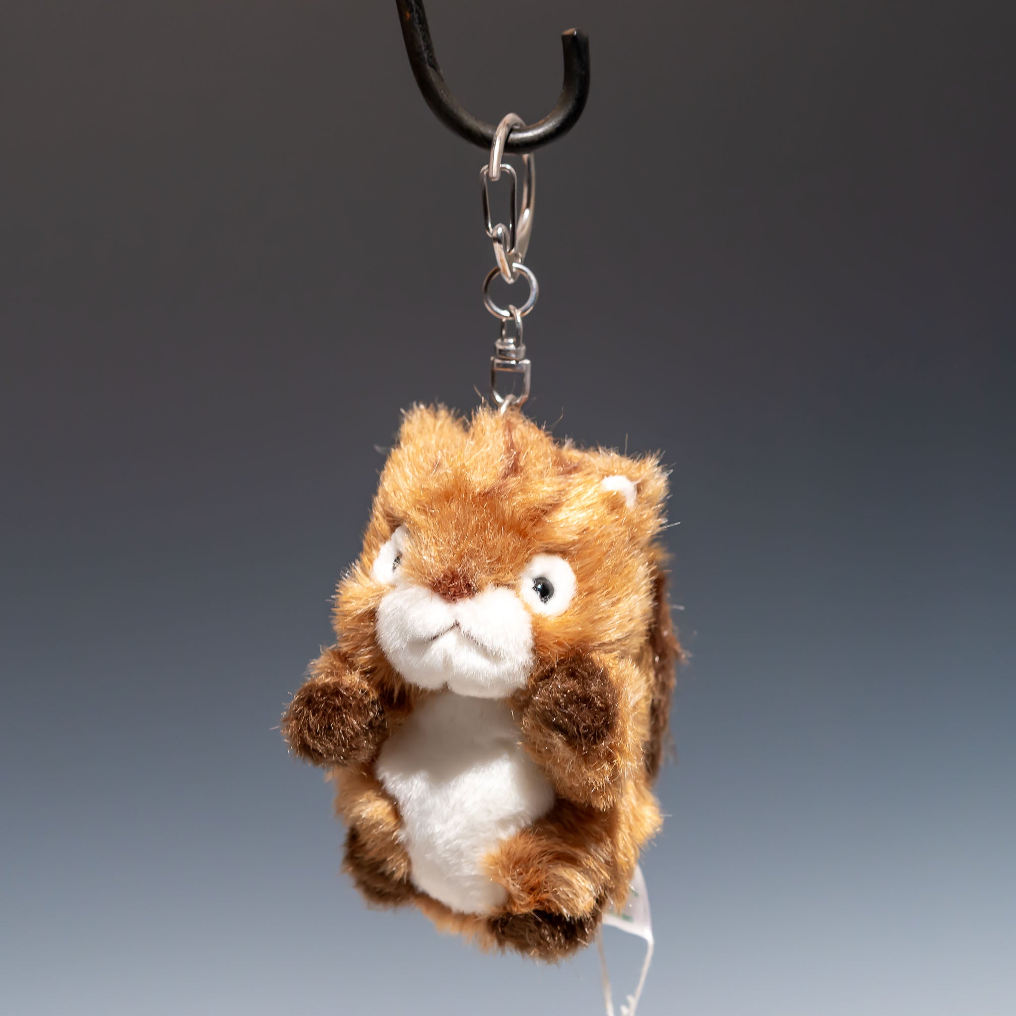 たけのこ TAKENOKO ぬいぐるみ プチ森のなかま リス 68437