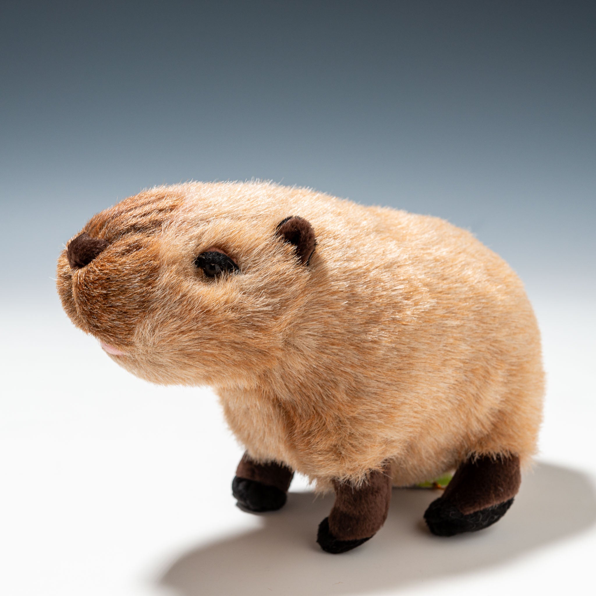 吉徳 ぬいぐるみ りくのなかまたち カピバラ S 180250 - エステルノ