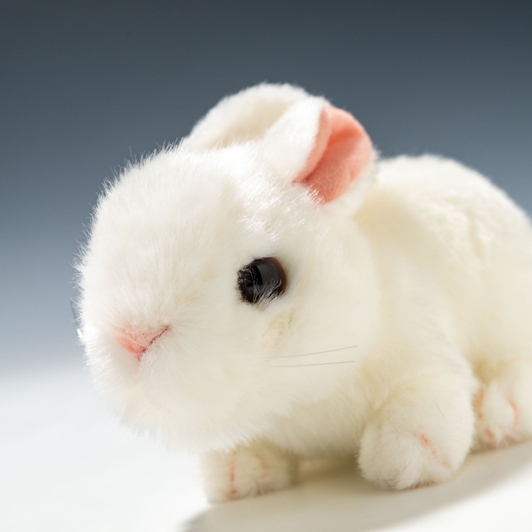 Rock the Universe ウサギぬいぐるみ ぬいぐるみ Rock the Universe