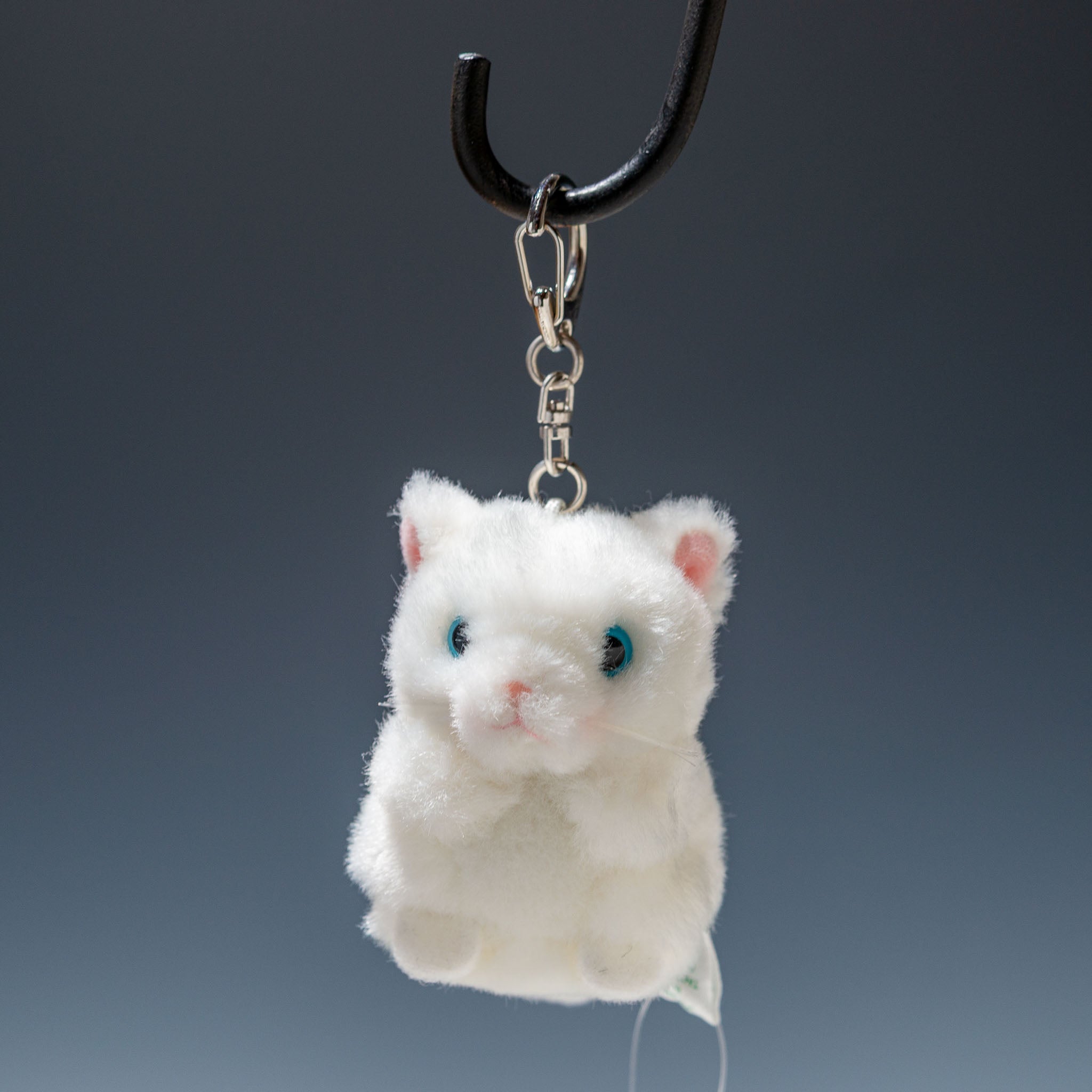 97098763-1.jpg?v=1756271436&