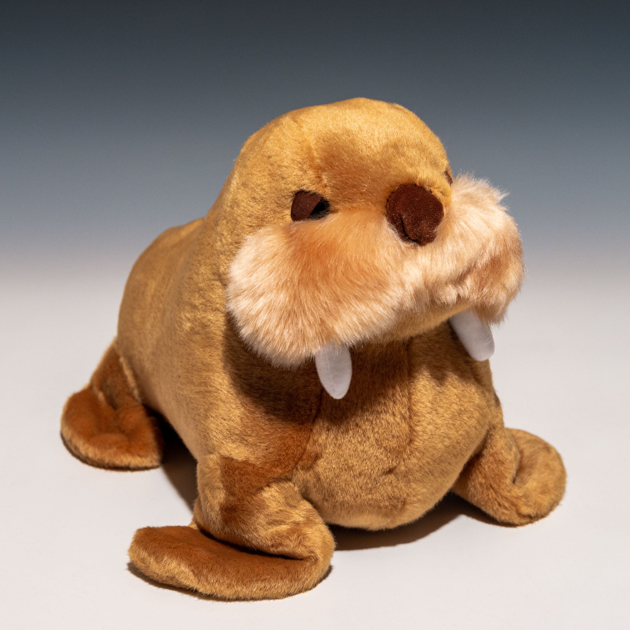 CUTE キュート販売 ぬいぐるみ セイウチ M NEW M0345 - エステルノ