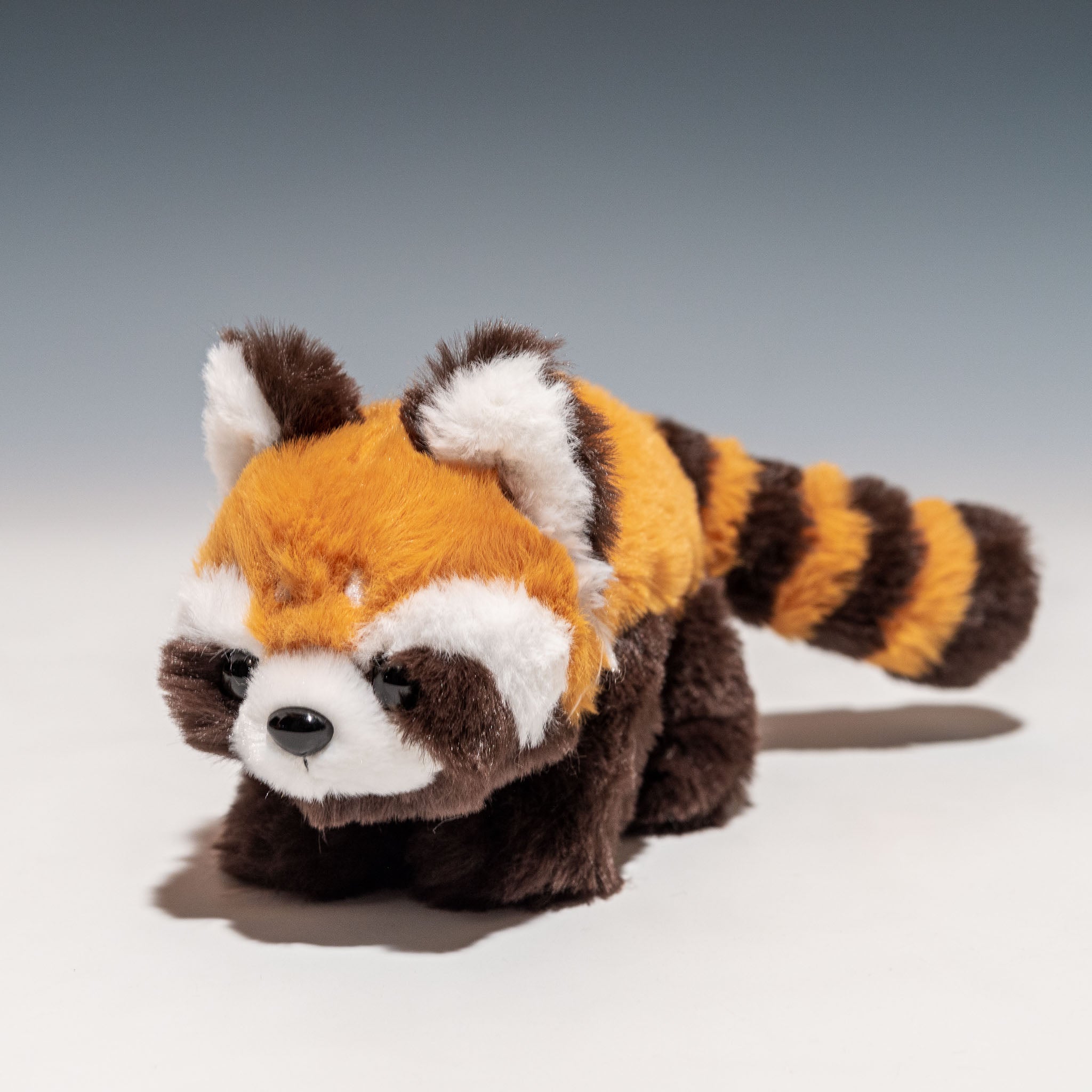 CUTE キュート販売 ぬいぐるみ くたくたレッサーパンダ SS Z0325