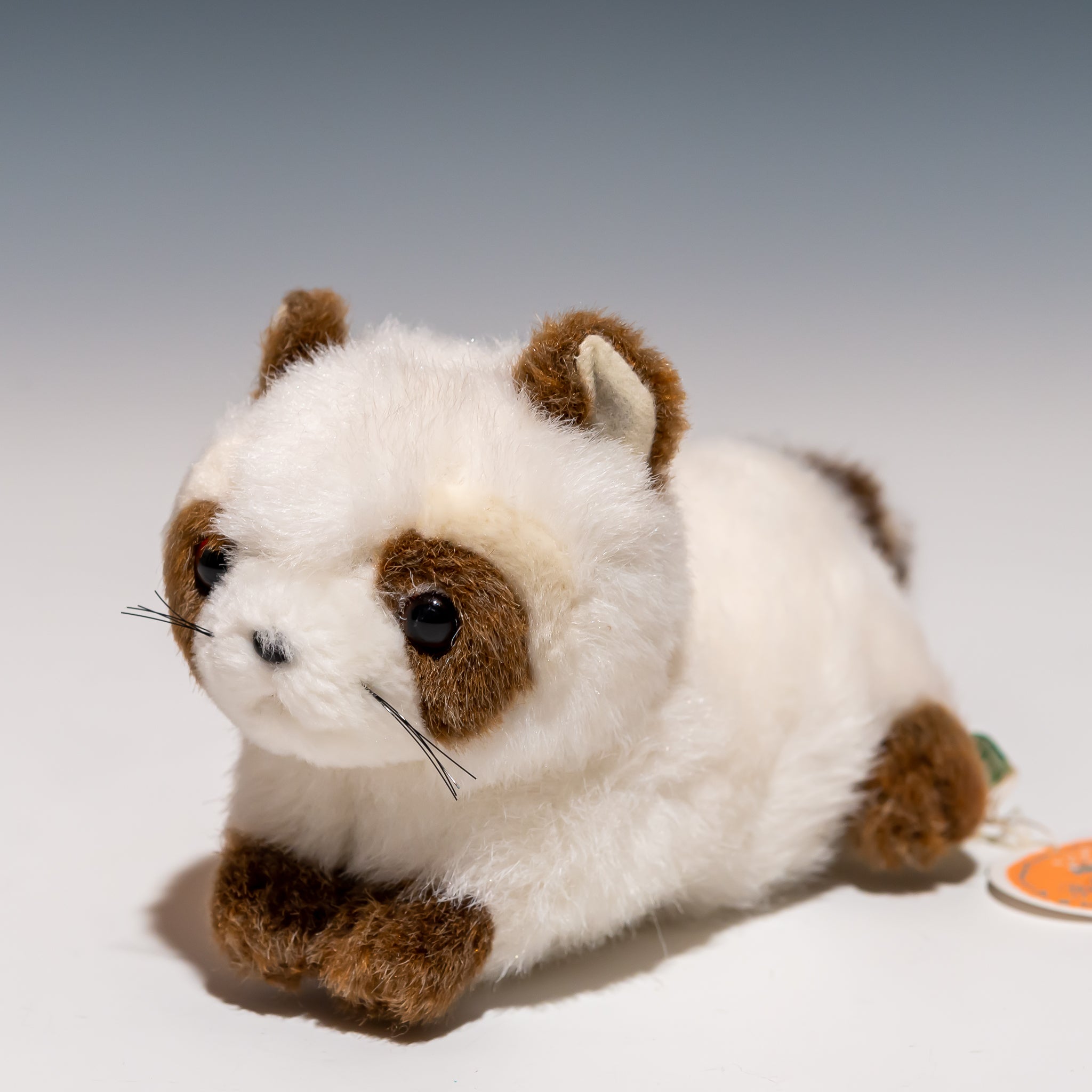 たけのこ TAKENOKO ぬいぐるみ プチどりーむ ミニ (A) アライグマ 白