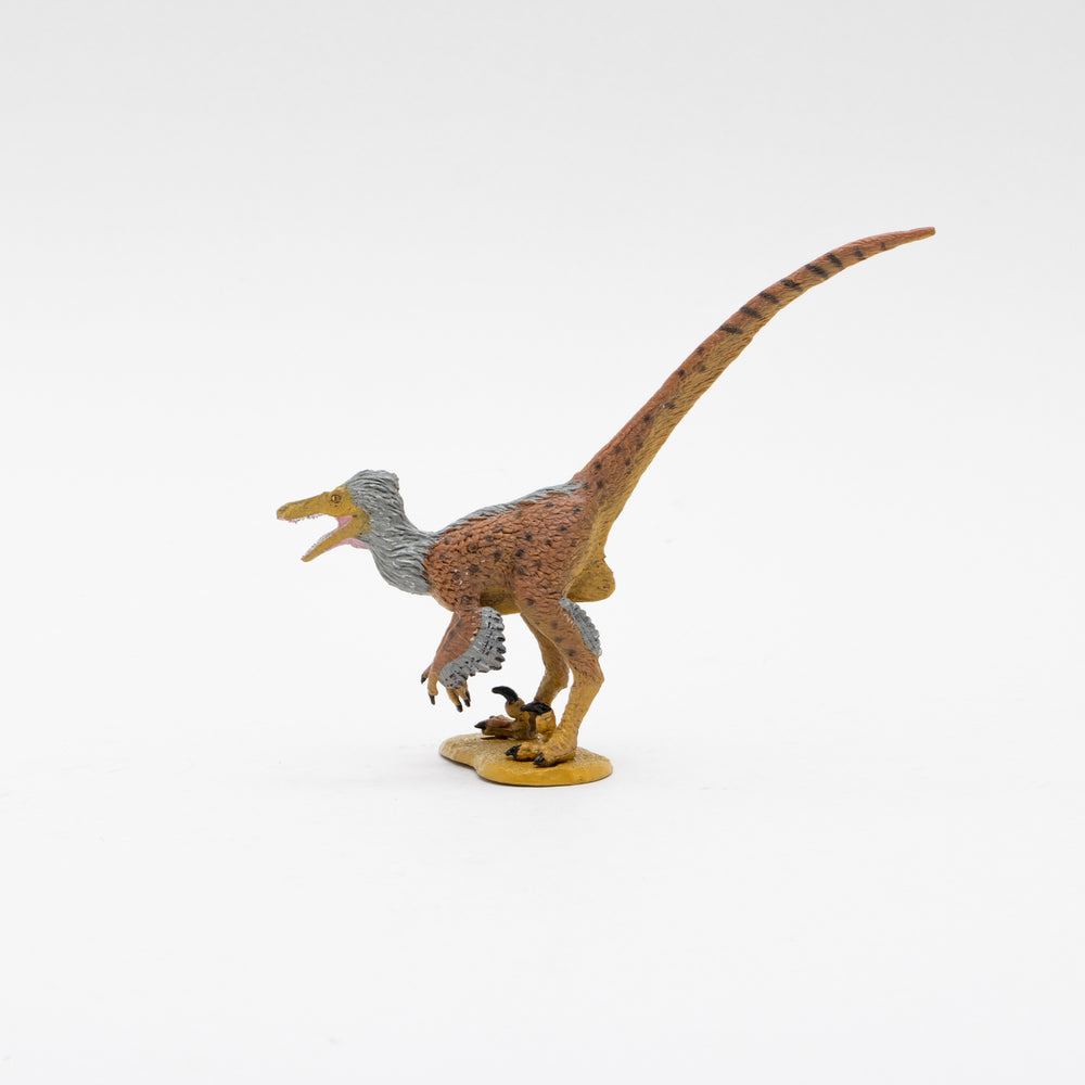 Favorite｜ヴェロキラプトル ソフトモデル｜ソフト素材を使用した