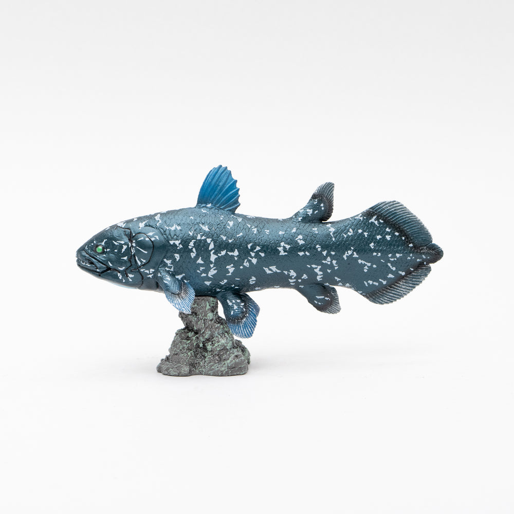 Favorite｜シーラカンス ソフトモデル｜ソフト素材を使用した