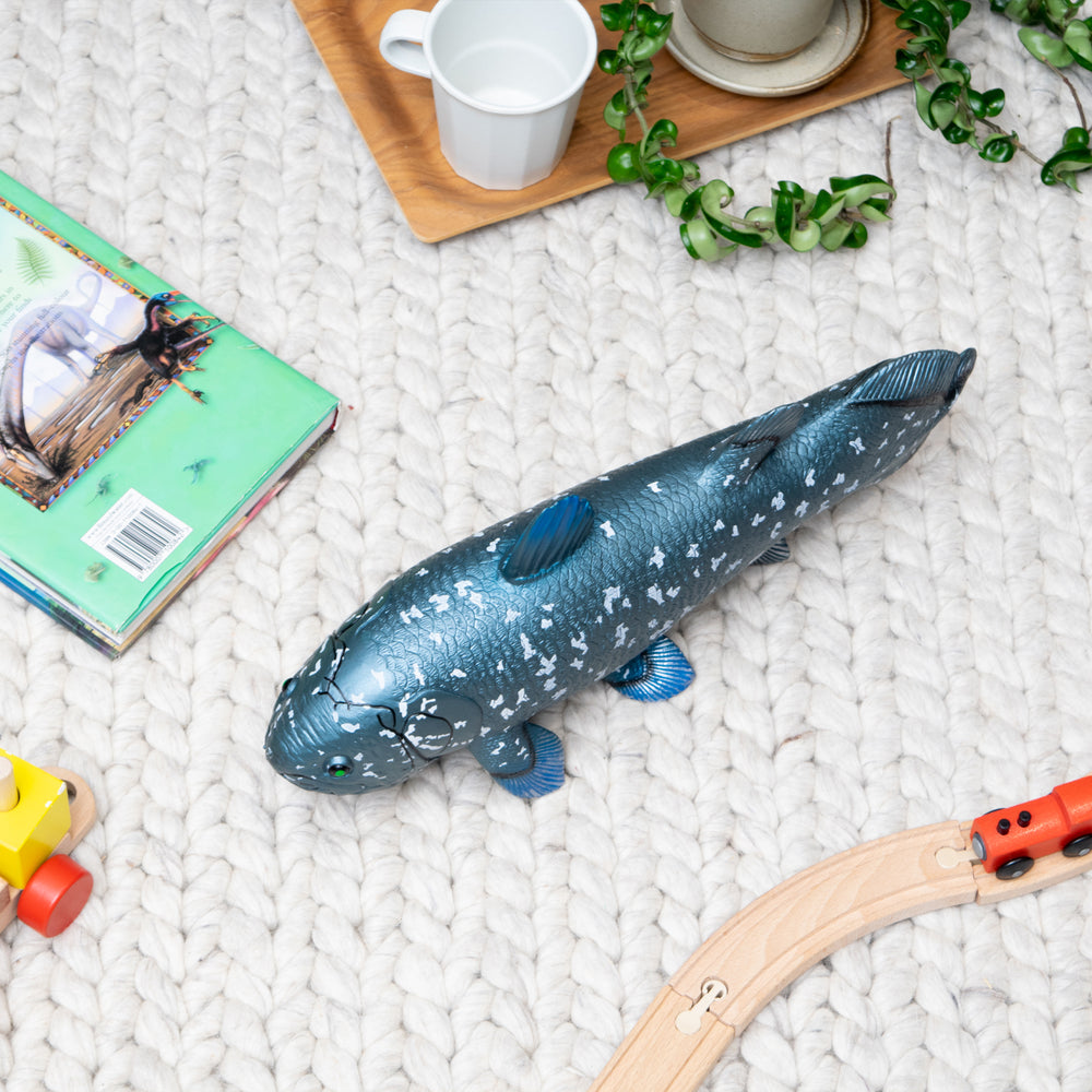 Favorite｜シーラカンス ビニールモデル｜愛嬌とリアルな雰囲気が共存