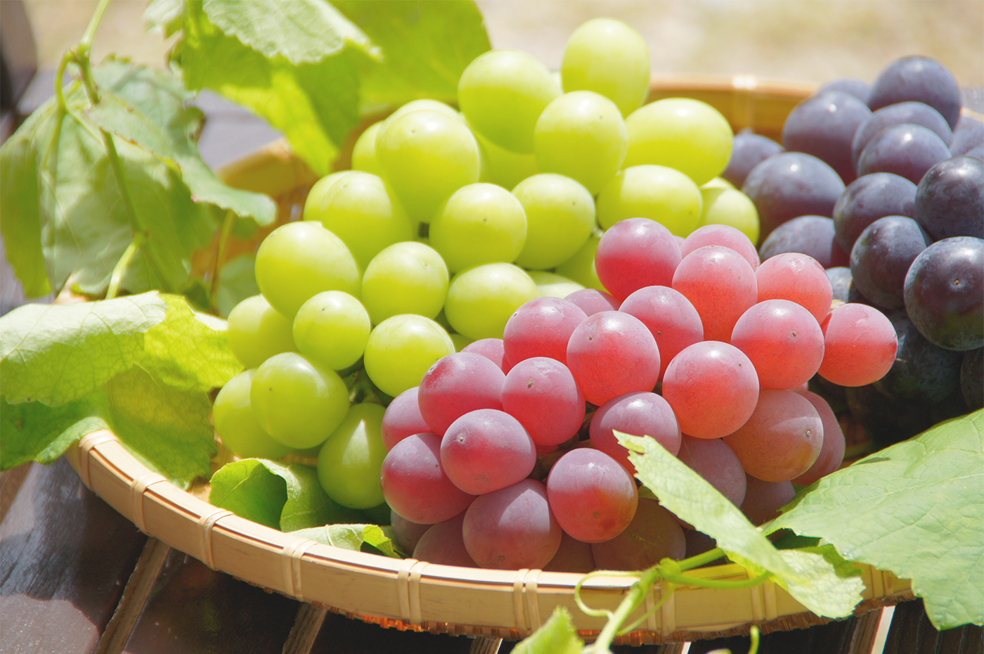 株式会社ファームタケヤマ｜葡萄園（ぶどう狩り）｜梨園（なし狩り