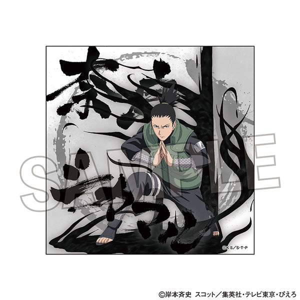 4582666841792_grande.jpg?v=