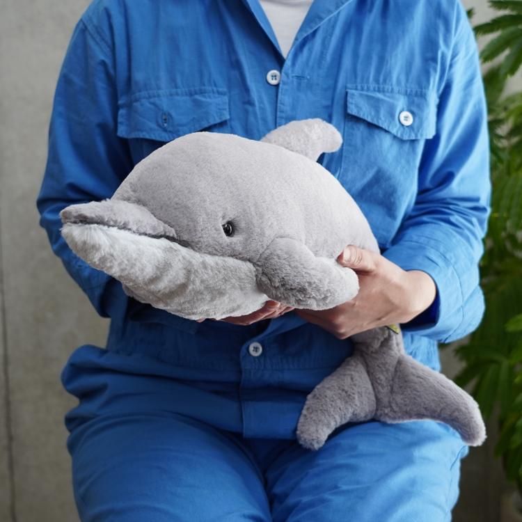 ひざいるか ぬいぐるみM(M イルカ): ビジター表示商品｜ファンビ寺内