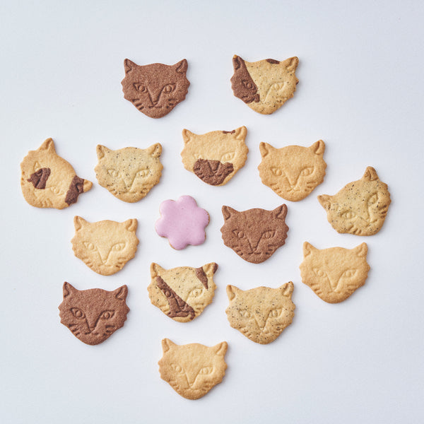 期間限定】Berry Miracle Cat Cookie Tin (神様のいたずらベリーネコ