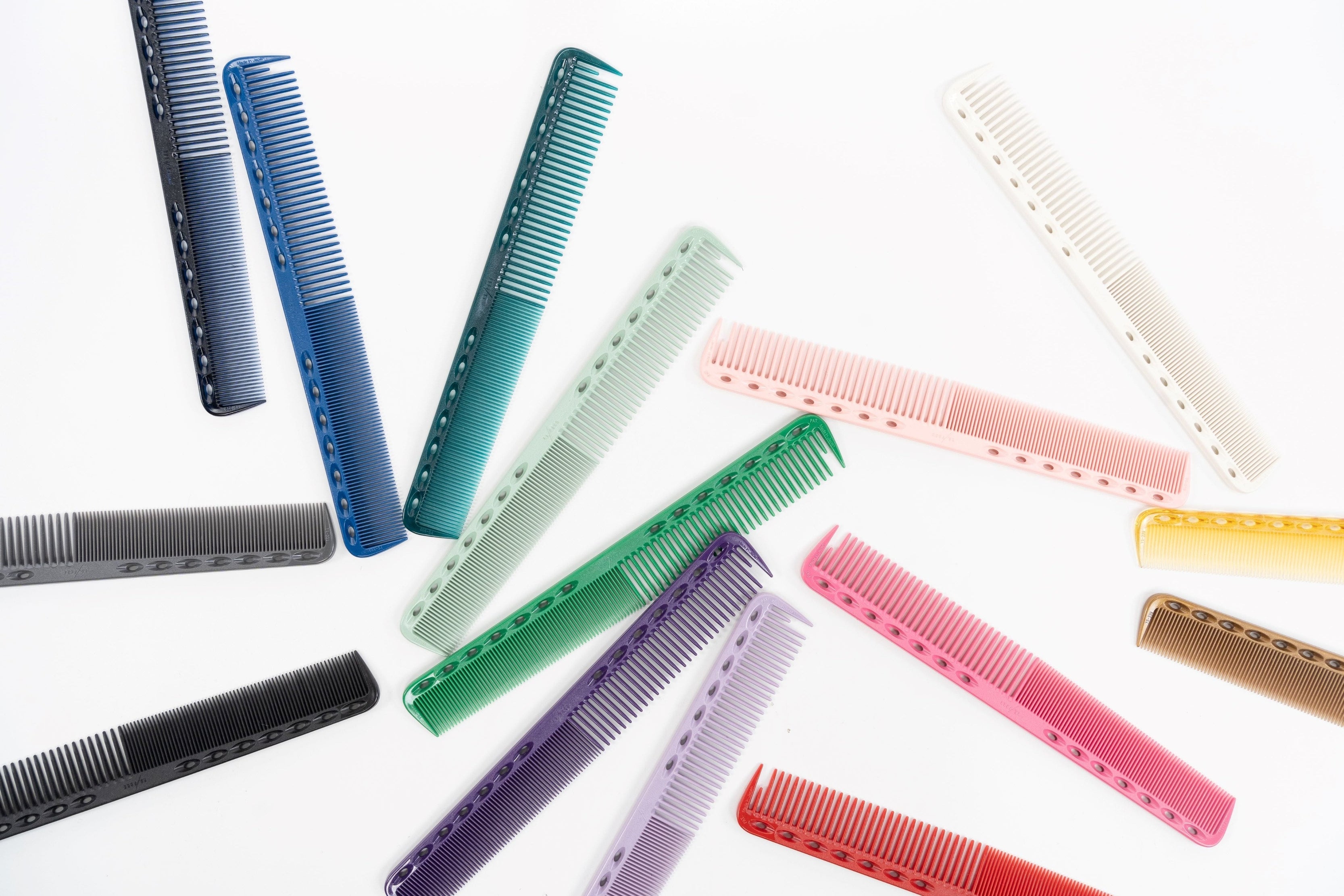 C0301387_3333x.jpg?v=1733524777