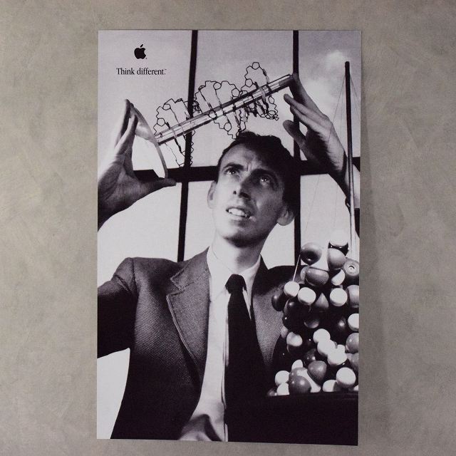 ジェームスワシントン 広告 ポスター 雑貨 小物 写真 企業 アップル