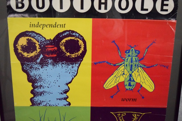 バットホール・サーファーズ アルバム オルタナティヴバンド ロック