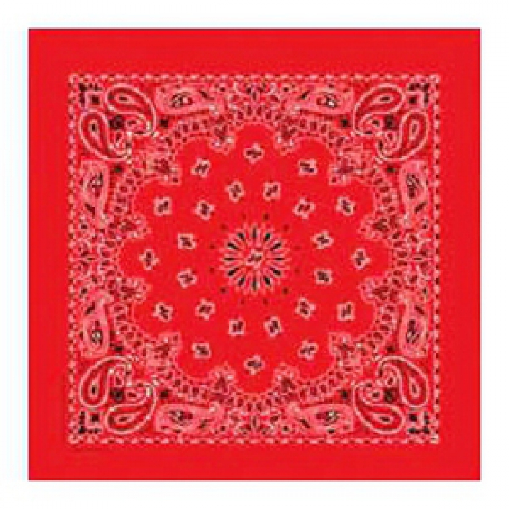 USA ベイズリーバンダナ | フェリーチェ山手