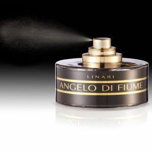 Angelo di Fiume Linari perfume - a fragrance for women and men 2008