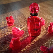 Anglomania Vivienne Westwood 香水- 一款2005年女用香水