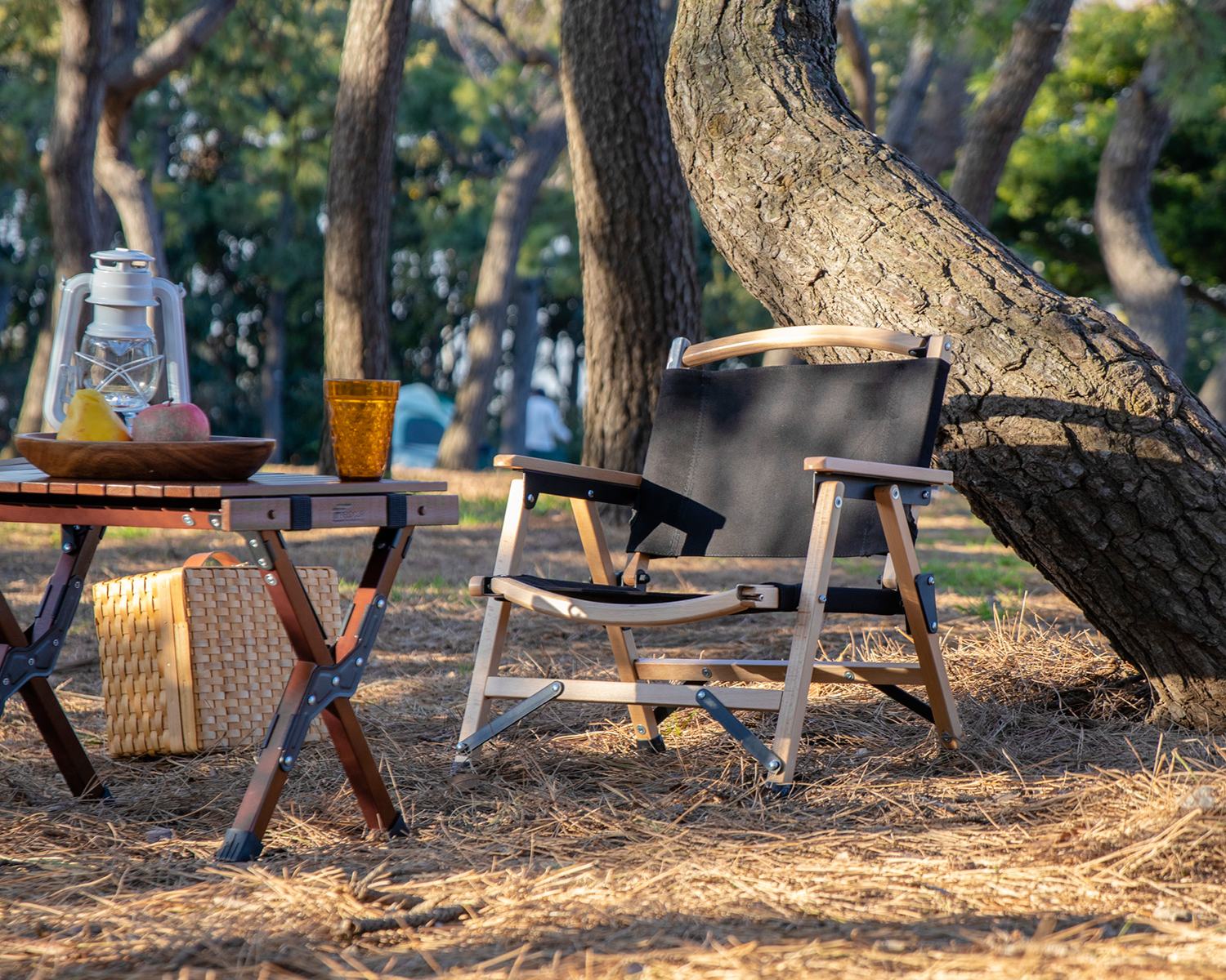 FIELDOOR（フィールドア） | クラシックチェア