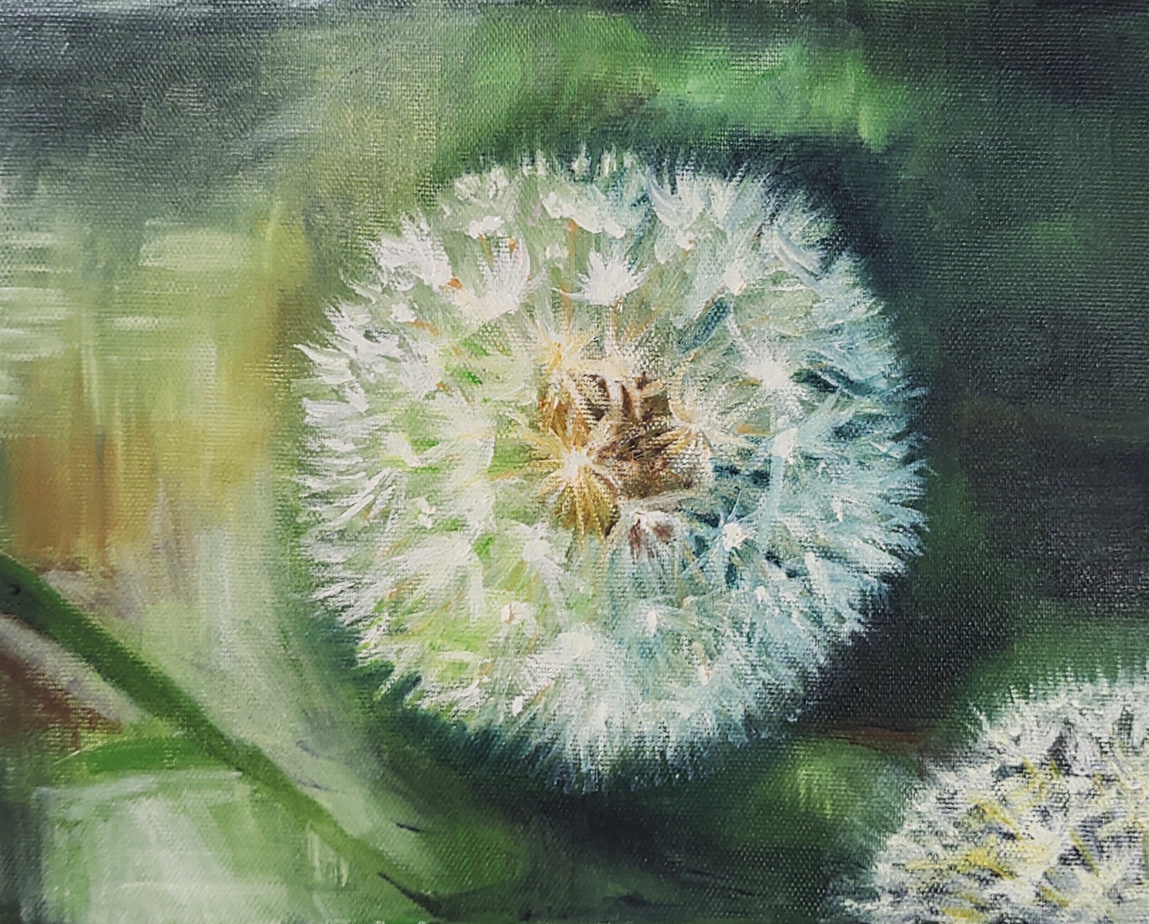 タンポポの綿毛 by 冨山めいみ - 絵画販売・購入・レンタル（サブスク