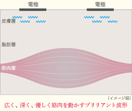 about ブリリアントウェーブ｜Partir（パルティール）公式サイト