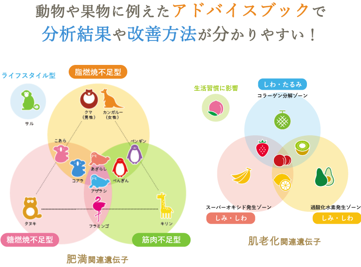 H＆BP遺伝子検査サービス - エステ美容商材 卸販売 仕入れ ann-J