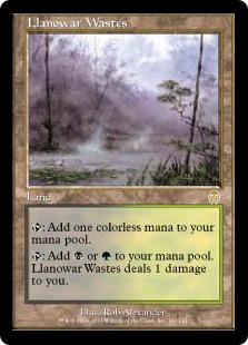 買取：《ラノワールの荒原/Llanowar Wastes》[10ED] 土地R | 日本最大