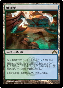 繁殖池/Breeding Pool》[GTC] 土地R | 日本最大級 MTG通販サイト