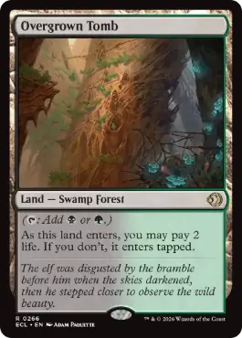 Foil】《草むした墓/Overgrown Tomb》[RAV] 土地R | 日本最大級 MTG