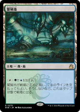 買取：《繁殖池/Breeding Pool》[DIS] 土地R | 日本最大級 MTG通販