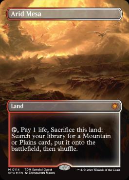 バラ売り可】MTG 乾燥台地 ZNE 英語 foil 2枚セット EX+]乾燥台地/Arid
