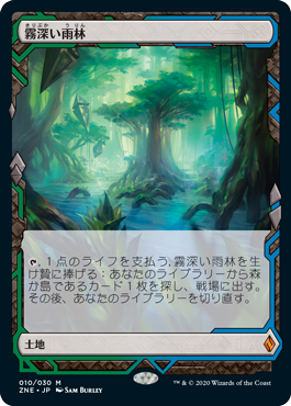 250)《霧深い雨林/Misty Rainforest》[MH2] 土地R | 日本最大級 MTG