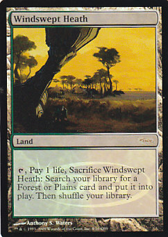 買取：《吹きさらしの荒野/Windswept Heath》[KTK] 土地R | 日本最大級