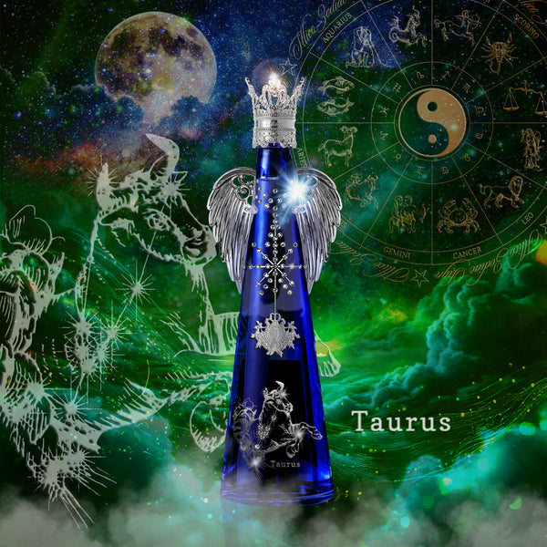 2026 NEW YEAR COLLECTION – FILLICO ONLINE SHOP