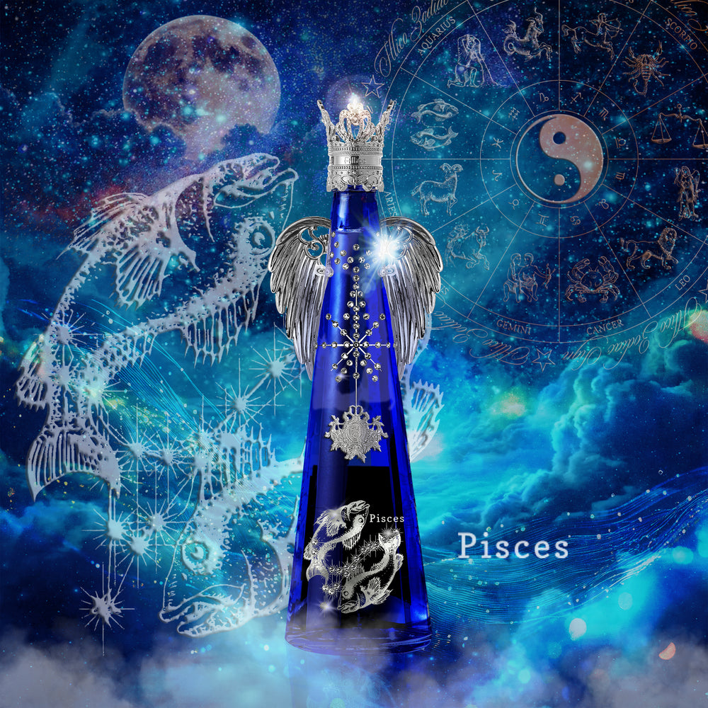 FILLICO ZODIAC SIGN 十二星座 – 