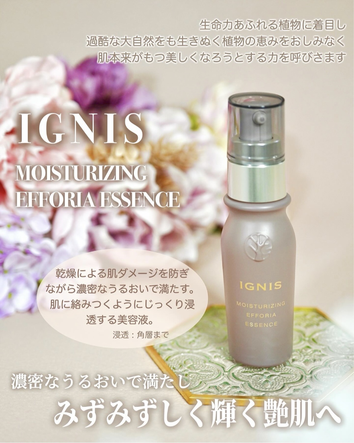 イグニス / イグニス モイスチュアライジング エフフォーリア