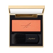 Amplitude(アンプリチュード) / コンスピキュアス モノチークス 06