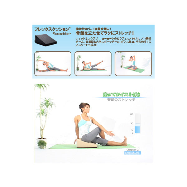 フレックスクッション サンテプラス 股割りストレッチ補助 開脚