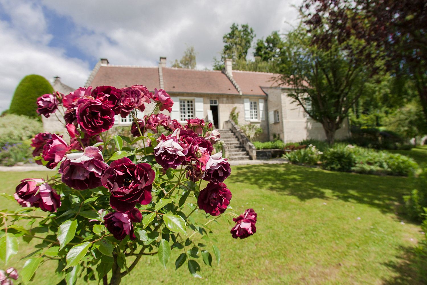 ローズベリー・ド・ロジーヌ オードパルファン - 株式会社フォルテ