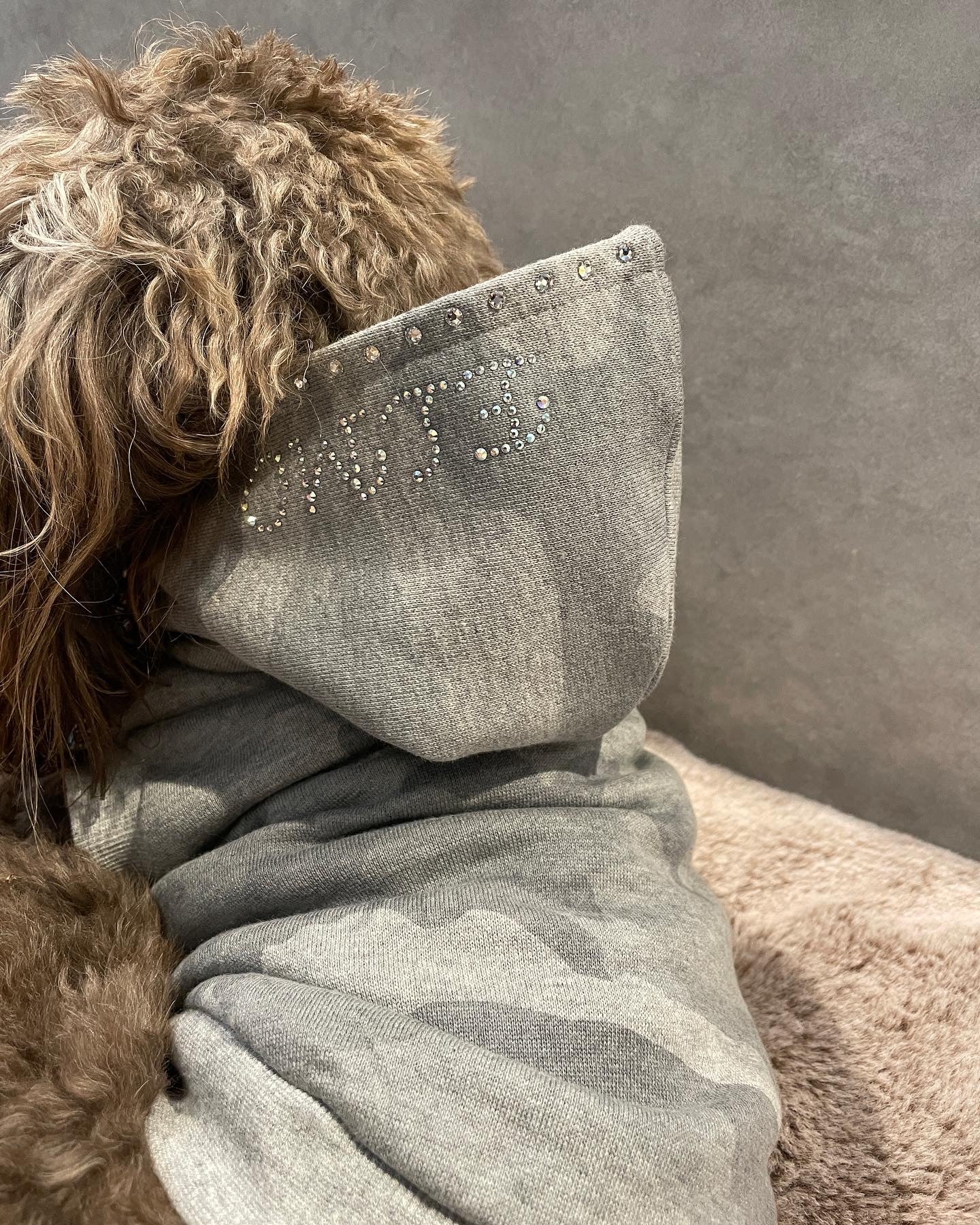 迷彩パーカー／フードライン – Forest Tokyo