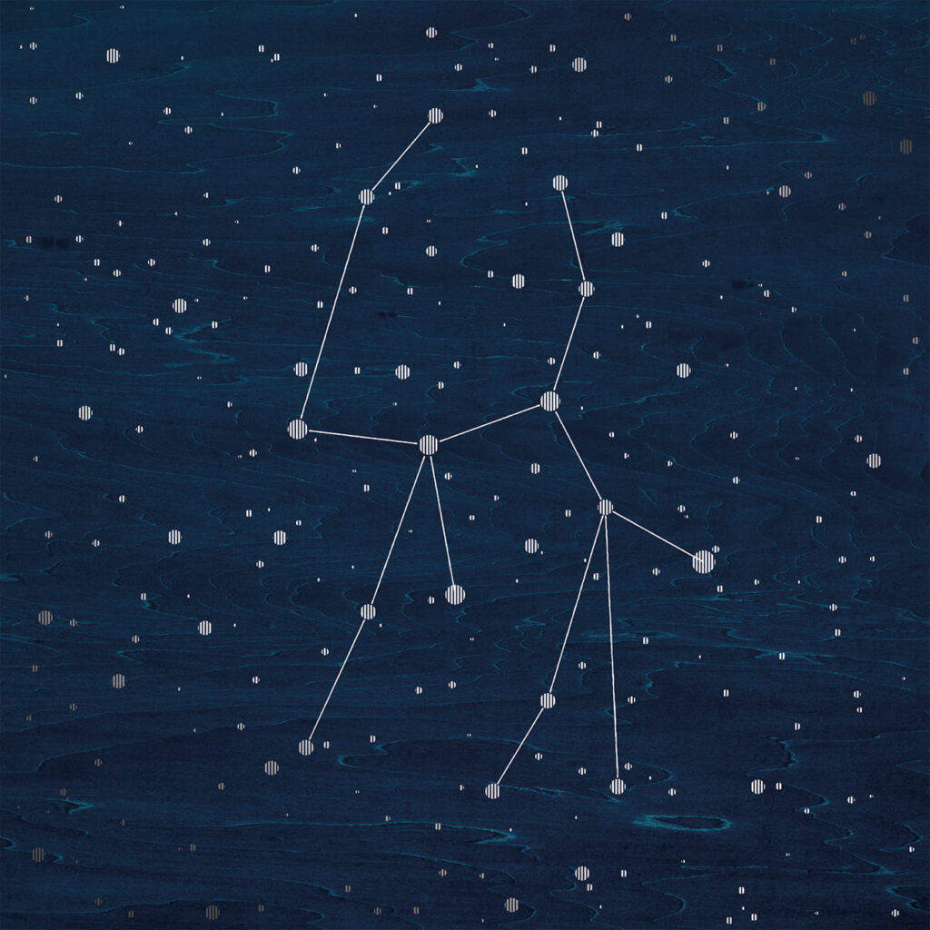 Stella 乙女座 | 天然木のデザイン突板ブランド「FORESTERIOR」