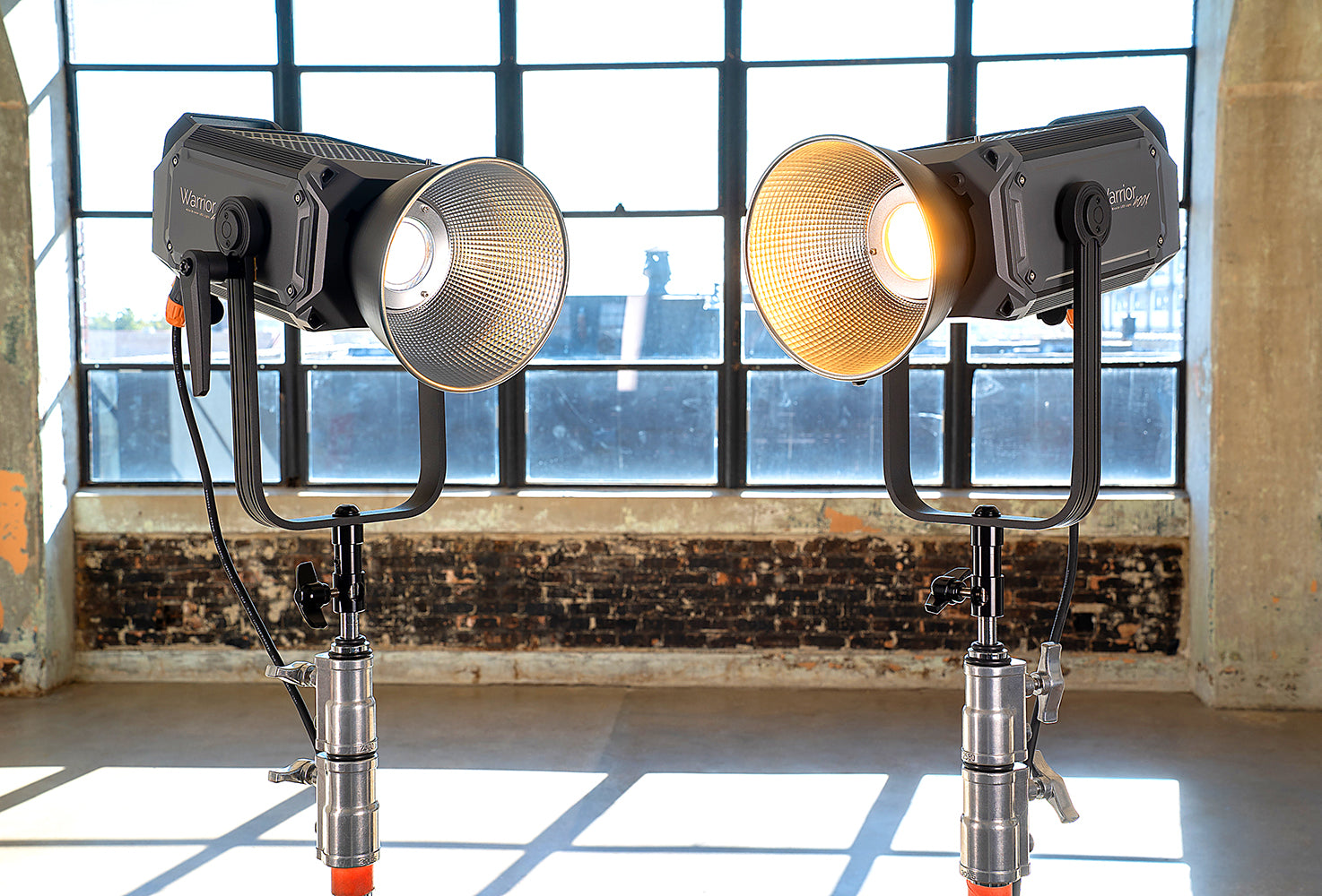 Warrior 400X Bicolor LED Light - 2700-6500k Light for Still and