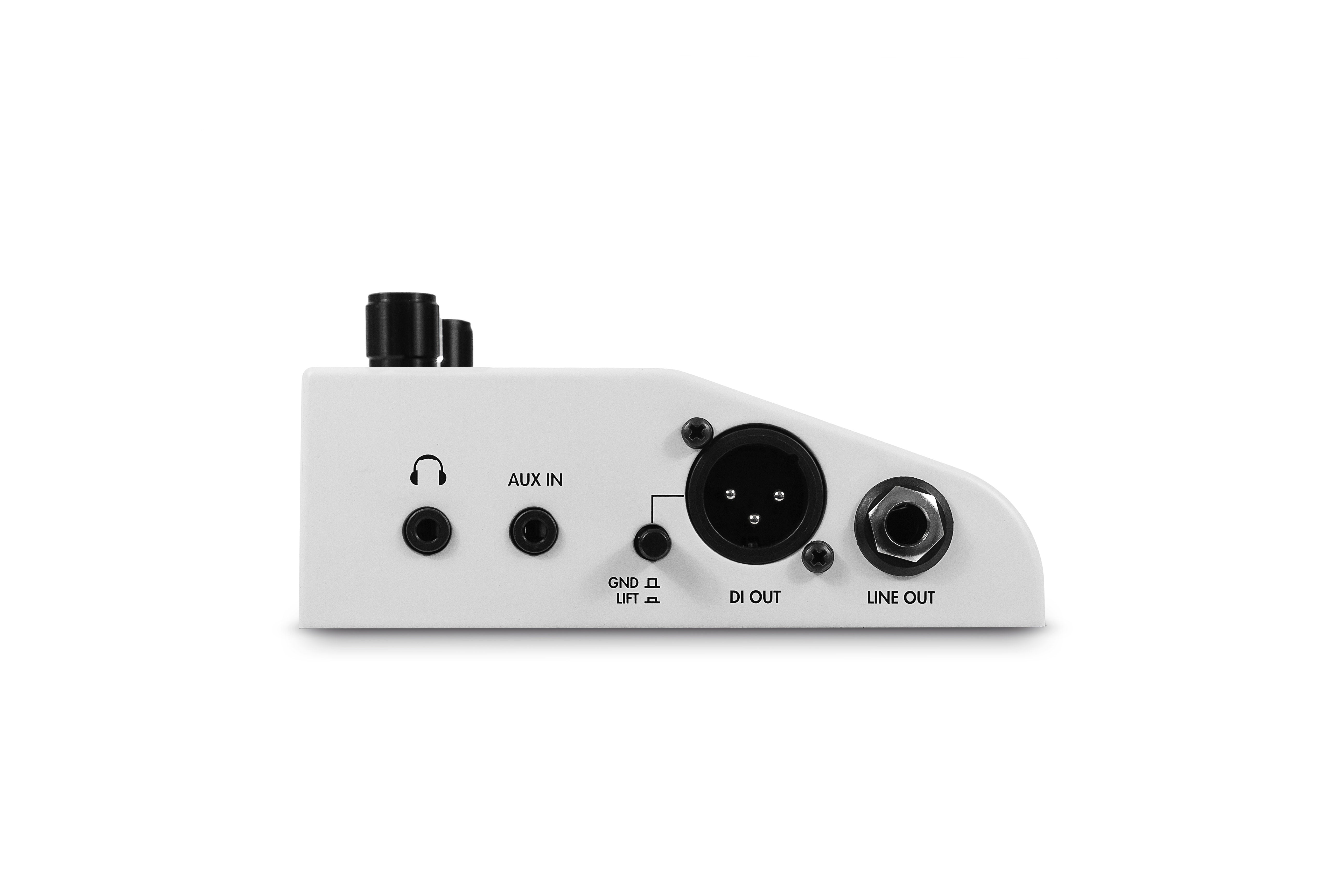 Two Notes Torpedo C.A.B. M+ Speaker Sim – Fouche Guitars